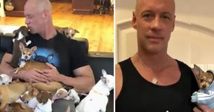 Chihuahua Saves Heartbroken Bodybuilder’s Life—And In Return, He Has Saved More Than 40 Little Dogs