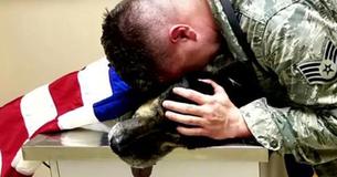 Soldiers Bid Farewell To K-9 Hero By Draping Him With American Flag