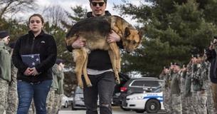 Retired Military K9 Receives A Touching "Last Call" Salute