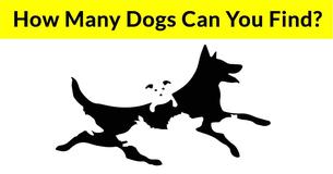 The Number Of Dogs You Find In This Image Will Determine Your Mental Age