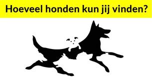 Het aantal honden dat je in dit plaatje ziet, bepaalt je mentale leeftijd