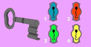 How Good Are Your Eyes? Which One Is The Right Keyhole?