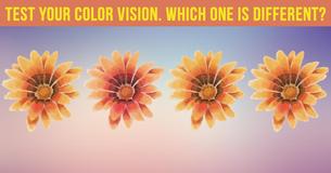 How Attentive Are You? Test Your Color Vision With These Quizzes