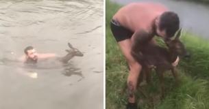 Man Jumps Into Freezing Cold Water In Only His Boxers To Save Drowning Baby Deer