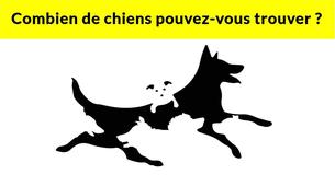 Le nombre de chiens que vous trouverez dans cette image déterminera votre âge mental