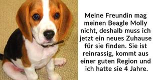 Freundin stellt ihrem Partner ein Ultimatum