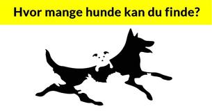 Antallet af hunde du ser på dette billede vil fastslå din mentale alder