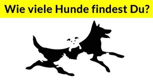 Die Anzahl der Hunde, die Du in diesem Bild findest, wird Dein geistiges Alter bestimmen