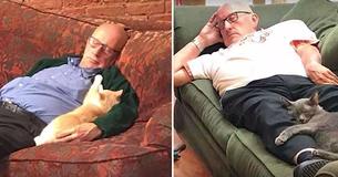 This 75-Year-Old Man Volunteers At Animal Sanctuary Every Day And Takes Naps With Cats