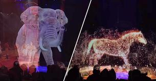 Circus Uses Holograms Instead Of Real Animals To Fight Against Animal Abuse