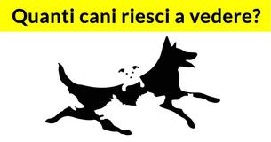 Il numero di cani che vedi in questa immagine determinerà la tua età mentale