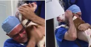 This Severely Burned Dog Never Forgot The Vet Who Saved His Life