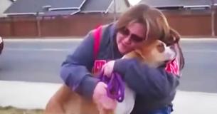 Family Never Shows For Dog On Adoption Day, But It’s All A Set-Up For Sad Foster Mom