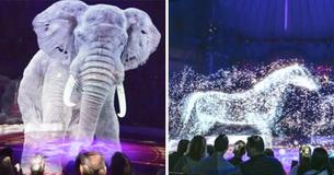 A German Circus Is Replacing Real Animals With Holograms To Protest Animal Abuse