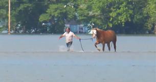 When A Horse Is Trapped In Destructive Floodwaters Watch What One Good Samaritan Does To Rescue Him