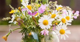Flowers Do Actually Make You Feel Better - Studies Reveal They Reduce Anxiety And Stress