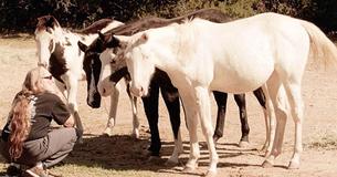 Willie Nelson Saves 70 Horses To Roam Free On "Luck Ranch" In Texas