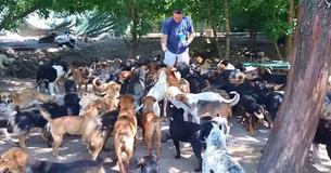 Man Couldn't Stand Seeing Stray Dogs Dying On The Streets, So He Adopted 450 Of Them