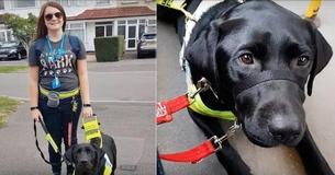Rude Passenger Tells Blind Woman To Take Guide Dog Off Bus Because It Was Black