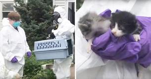 182 Cats Rescued From Single Property So Full Of Refuse And Feces It Was Barely Breathable