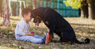 Science Suggests People Who Talk To Their Pets Could Be Smarter Than Those Who Don’t