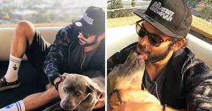 Zac Efron Volunteers To Foster Dog Scheduled To Be Euthanized, Falls In Love And Gives Her A Home