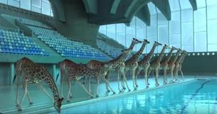 Toen er niemand in de buurt was, sprongen de giraffen van de springplank in het zwembad .