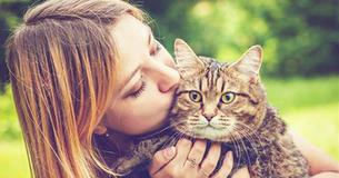 Being a Cat Lady Can Benefit Your Health, According to Science