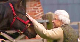 Queen Elizabeth II Saved An Entire Horse Breed From Extinction, And We Can’t Say 'Thank You' Enough