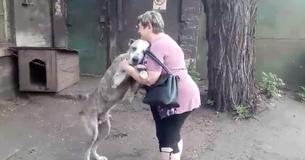 Dog Lost For Years Is Ecstatic To Be In His Best Friend's Arms Once Again