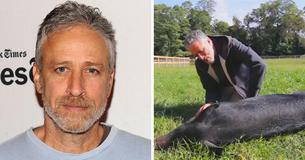 Jon Stewart’s 12-Acre Farm Is A Safe Haven For Hurt And Abused Animals