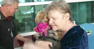 A Canadian Hospital Lets Patients Meet Their Pets To Get Well Sooner, And It’s The Sweetest Thing To See
