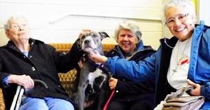 Nuns Visit Shelter And Take Pit Bull No One Else Wanted Home