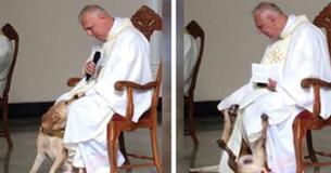 Priest Has Greatest Reaction After Lively Dog Crashes Church Service