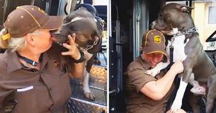 UPS Driver Adopts Playful Pit Bull On Her Route After Owner Dies