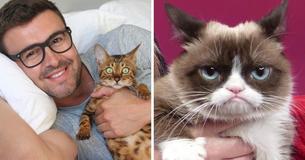Cats Mimic Their Owners' Personalities, New Study Finds