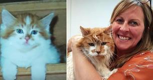 Woman Adopted A Cat In 1988, But She Had No Idea She Would Throw Him A Party 30 Years Later