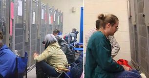 Instead Of Partying On The 4th Of July, These People Ease Terrified Shelter Animals During Fireworks