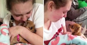 Teenager Cries Happy Tears After Getting A Surprise Support Pup