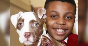 12-Yr-Old CEO Creates Bow Ties For Shelter Dogs To Help Them Get Adopted.