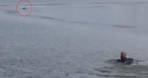 Polizist schwimmt durch vereistes Wasser, um Welpen zu retten