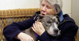 Nuns Adopt 9-Year-Old Pit Bull That No One Else Wanted