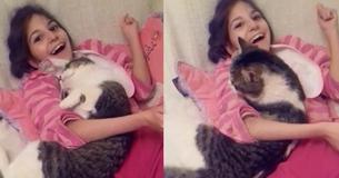 Patient Shelter Cat Finally Finds Love And Happiness With Young Special Needs Girl