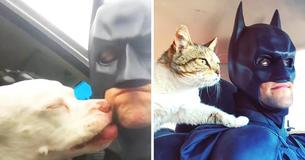 Real-Life Batman Saves Strays From Kill-Shelters And Finds Them Forever Homes