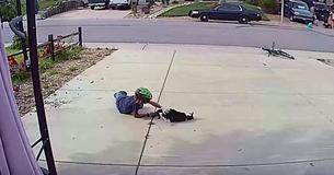 Un enfant d'un voisin prend du temps pour visiter un chat incompris