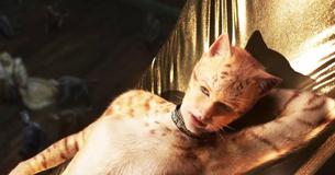 Taylor Swift, Jennifer Hudson et Idris Elba brillent de mille feux dans la première bande-annonce du film Cats