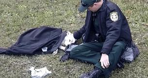 Remercions le policier qui a tenu le chien blessé au chaud et a refusé de le quitter jusqu'à l'arrivée des secours