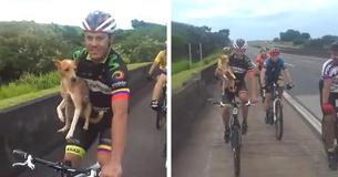 Un cycliste vient chercher un chiot abandonné en route et l'emmène faire un tour avec lui