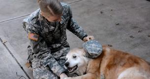 Elderly Dog Weeps When She Notices Soldier Has Returned Home
