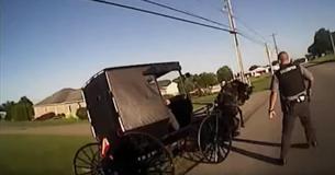 Cop Races After Amish Buggy Zig-Zagging Against Traffic, Dives In Window To Save The Day